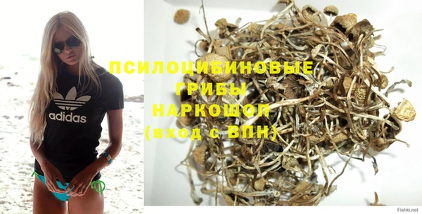 дживик Алексин