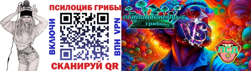 Галлюциногенные грибы Psilocybe купить закладку Бакал